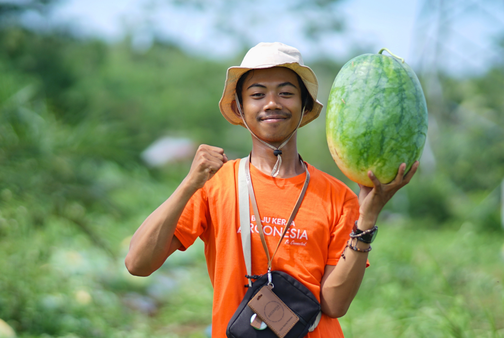 ArcoFarm