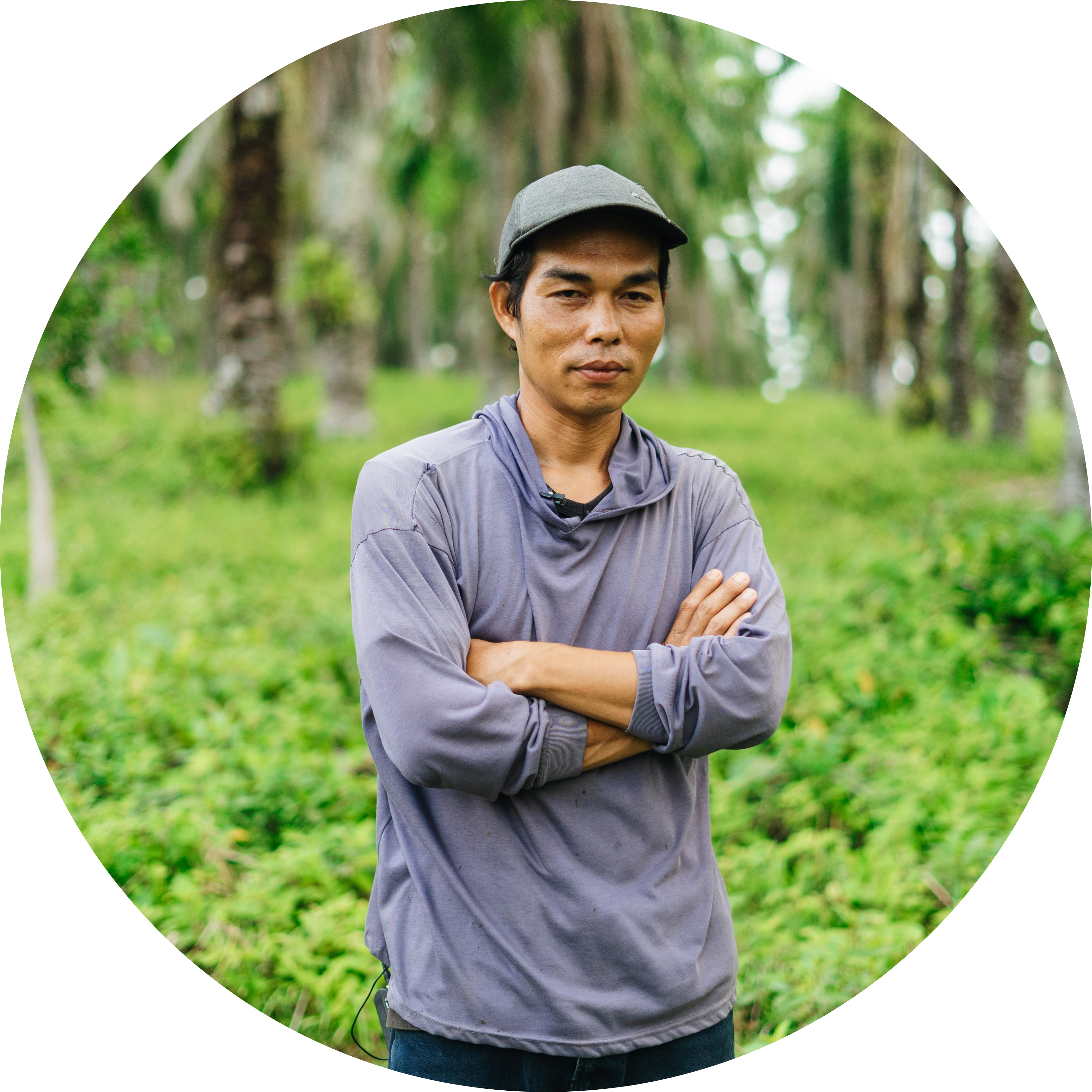 Intercropper Experienced Farmers